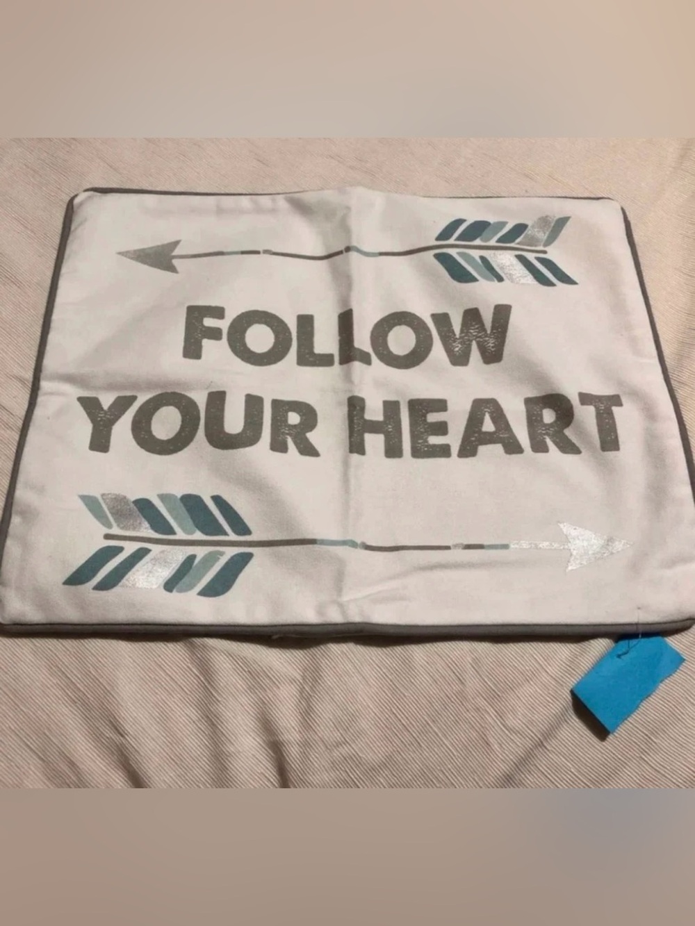 Follow Your Heart Decorative Accent Pillow - Blue and Gray